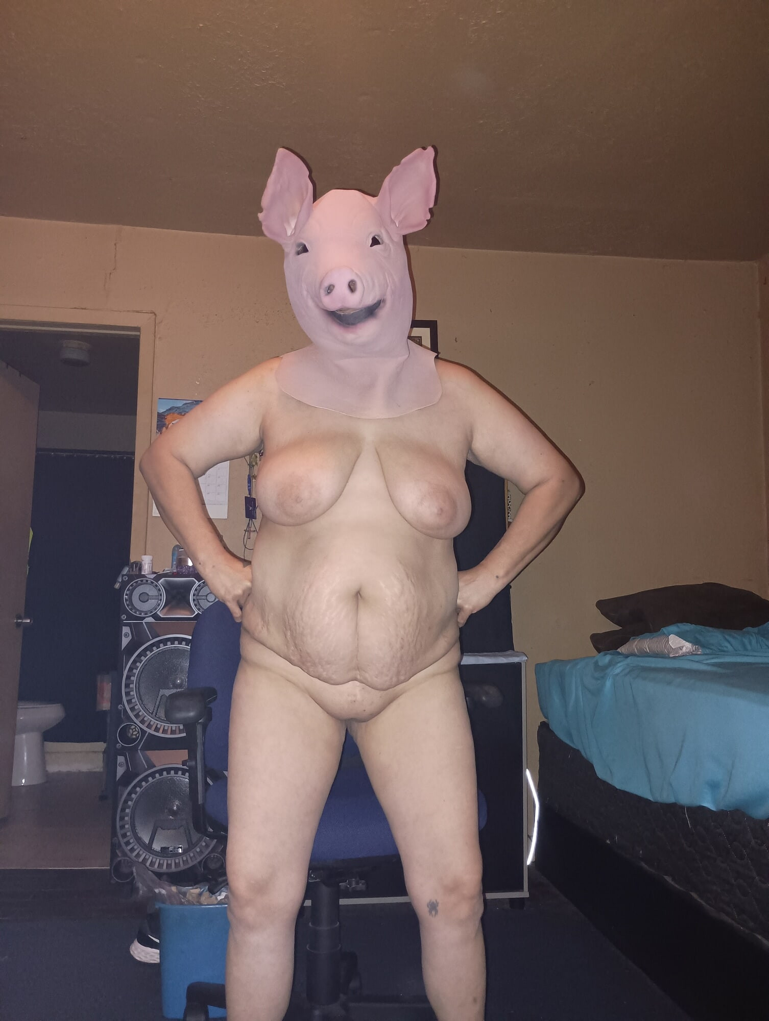 Just a pig