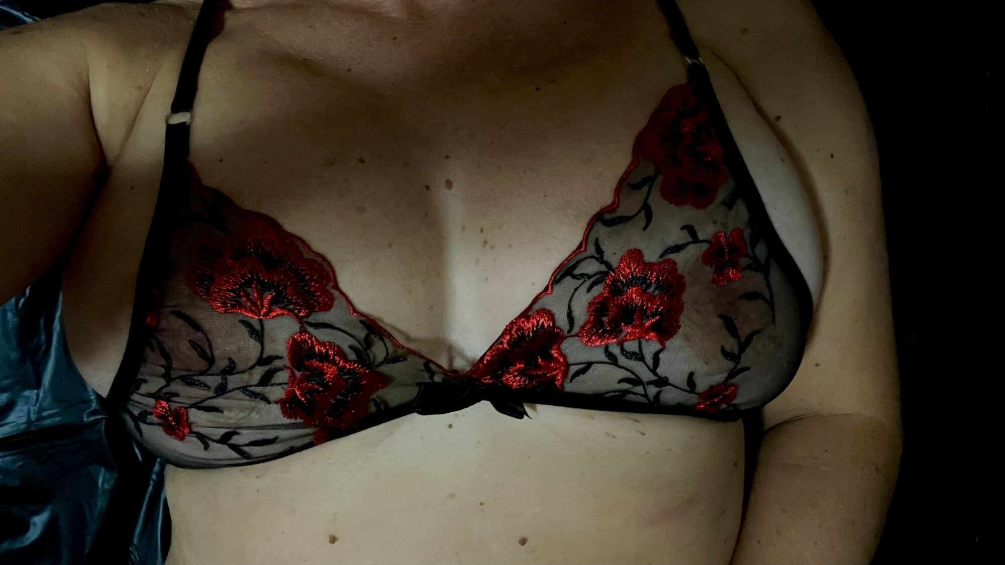 Seksi Amatör