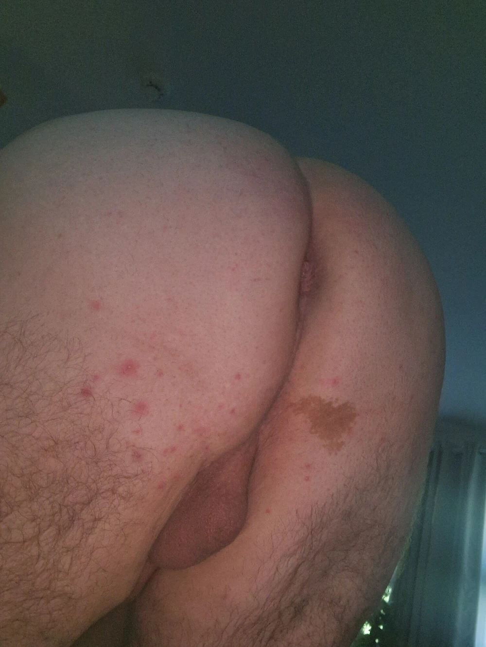 Bequem im Sessel. #4