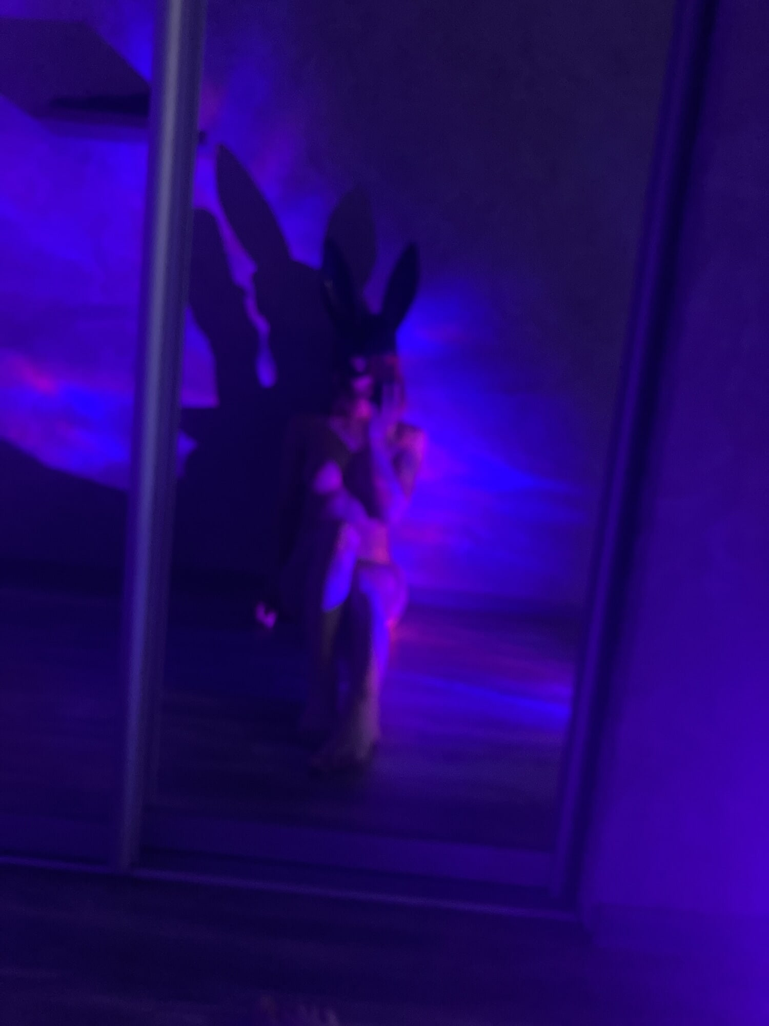 Tavşan hostes🐰 tarafından terk edildi