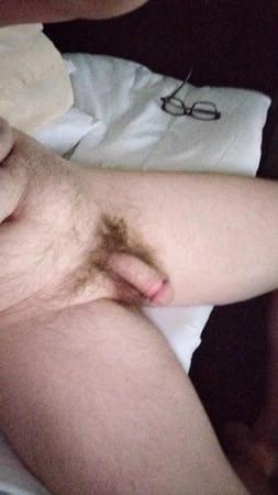 Penis