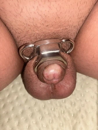 Pig Slave 🐷 