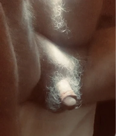Stachebear