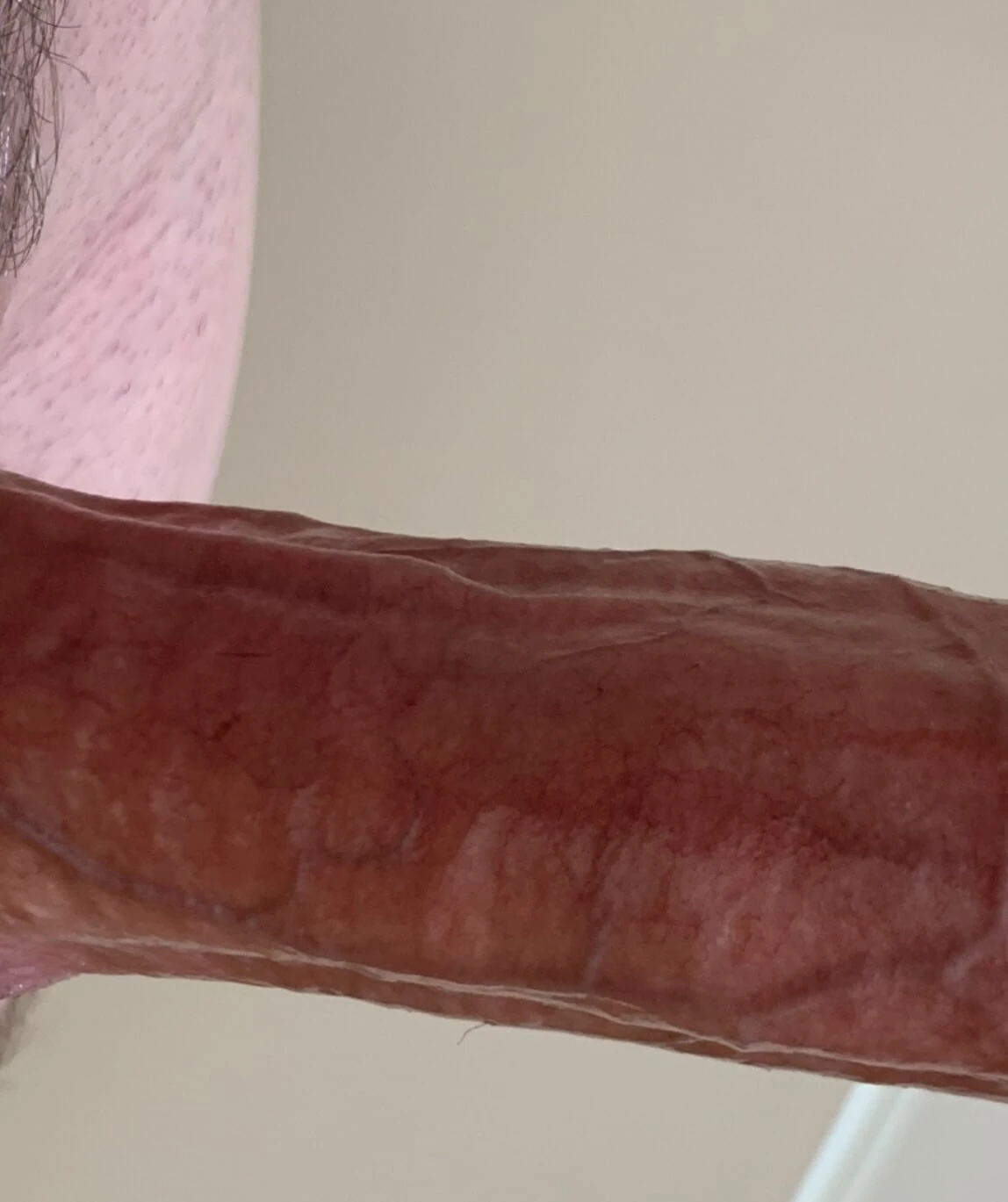 the dick  #3