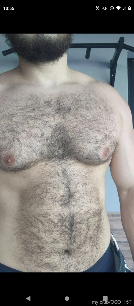Ücretsiz bear y panda 🐻🐼 fotoğrafları
