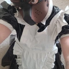 SubbyPuppy бесплатные фотографии