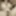 My Random views Tits Ass Pussy Sex Boobs Dada Deville
