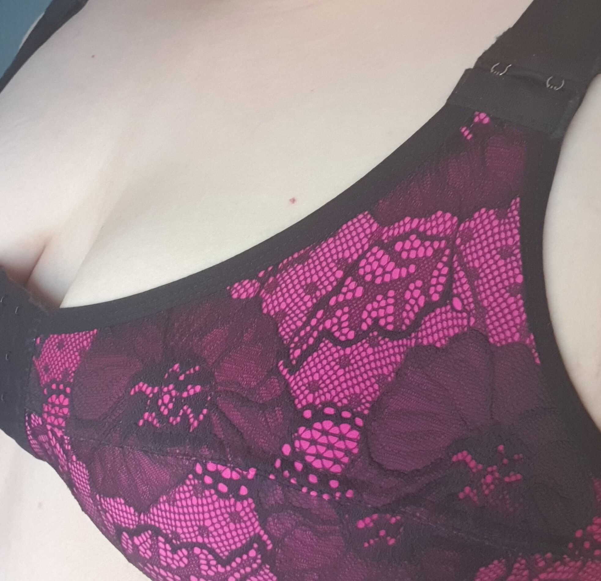 Boobies