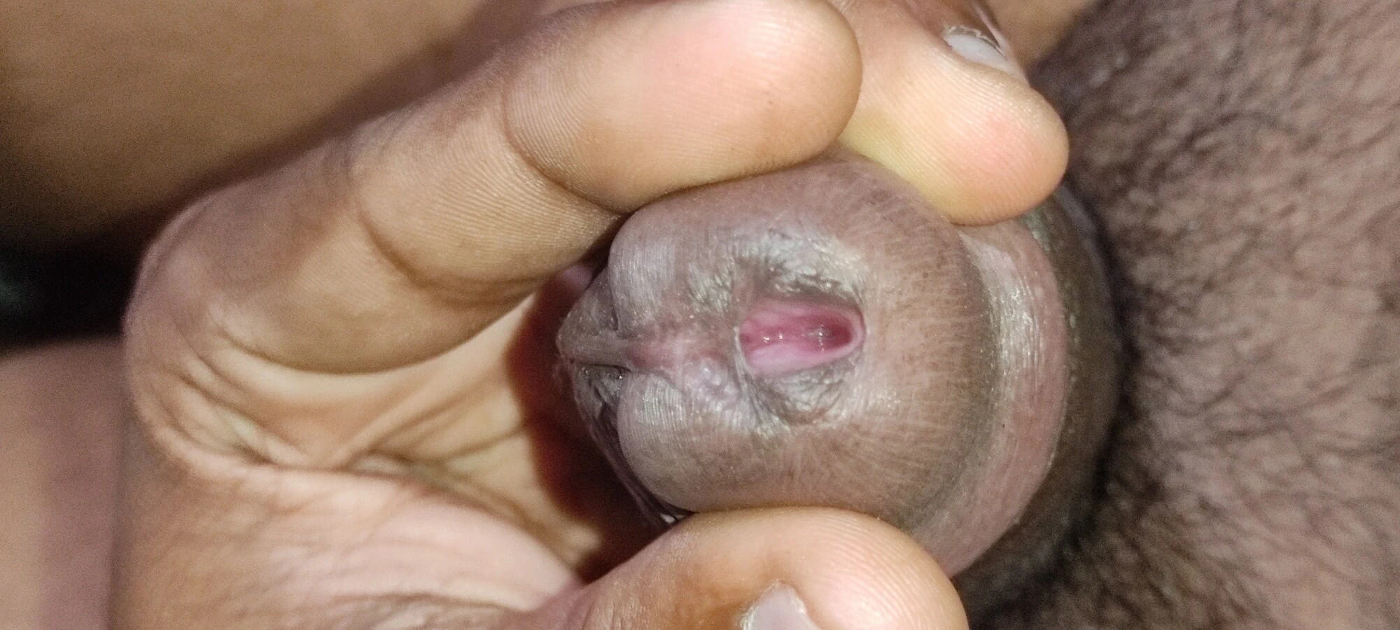 Srilanka black dick pink head 