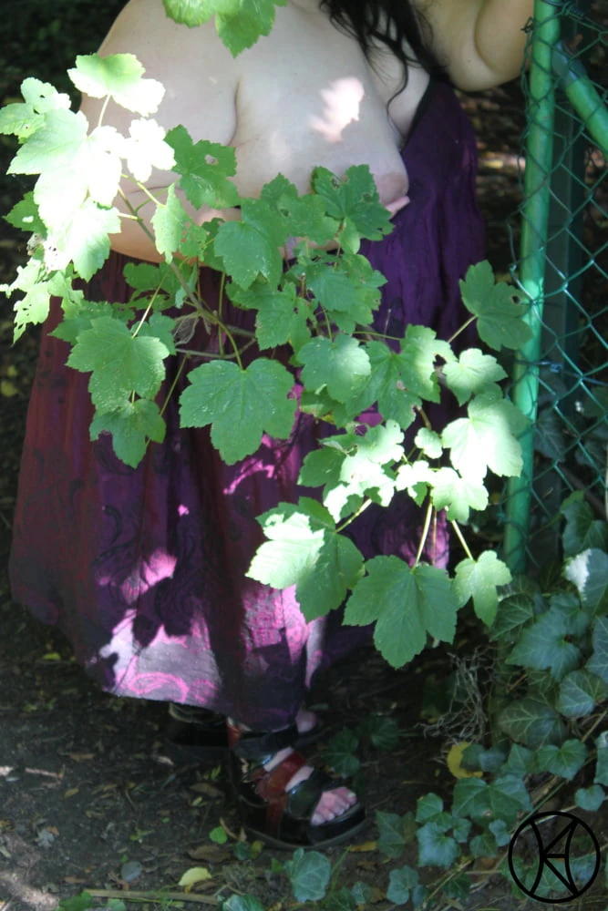 Die Parkbank- The Park Bench III #2