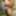 Beautiful Indian wife naked outdoor with beautiful flowers