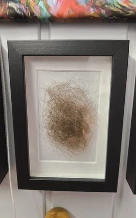 Sanat kılları koleksiyonum