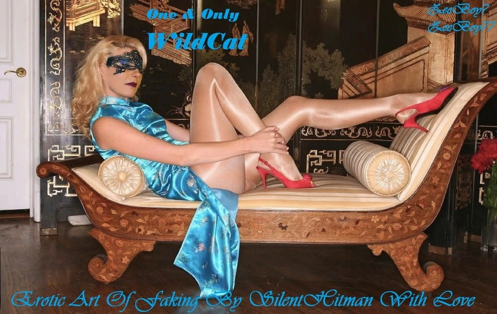 Wildcat in Silenthiman's imagination