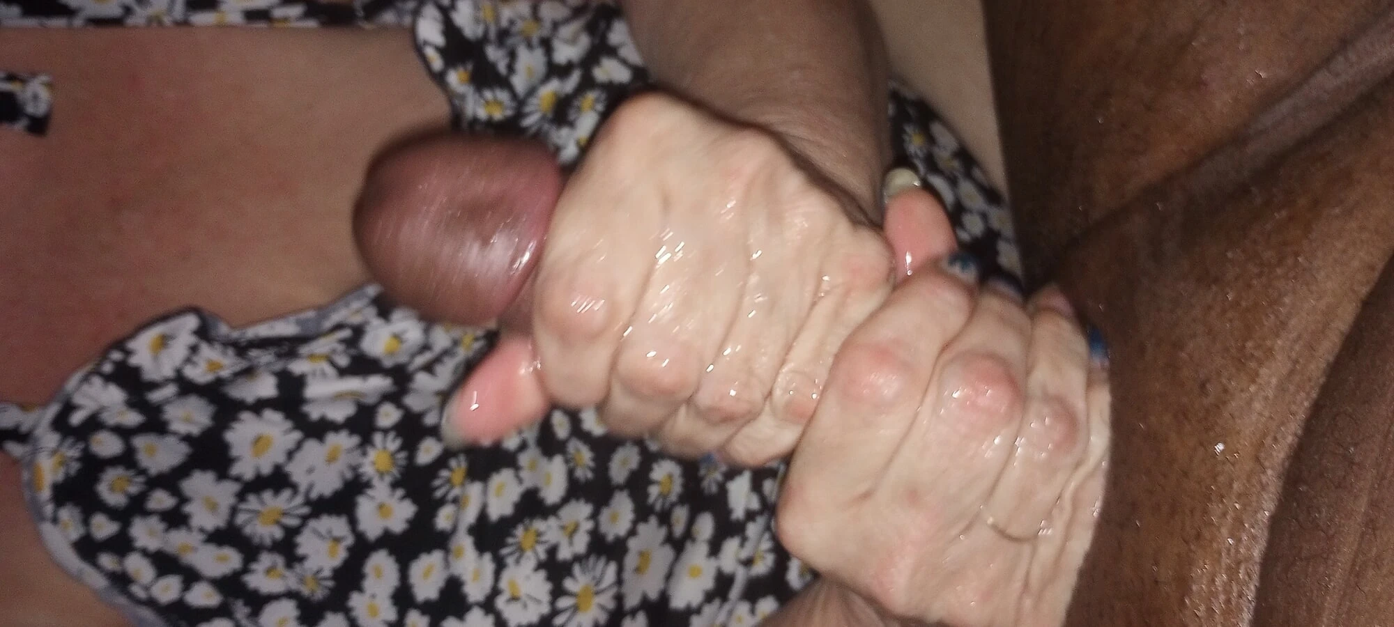 Mr. Dick 