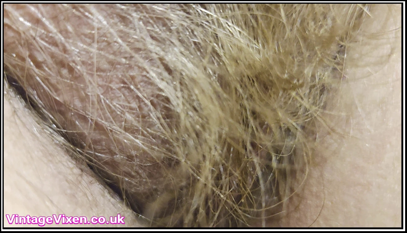 OLGUN KıLLı KEDIMIN ÜZERINE BOŞAL