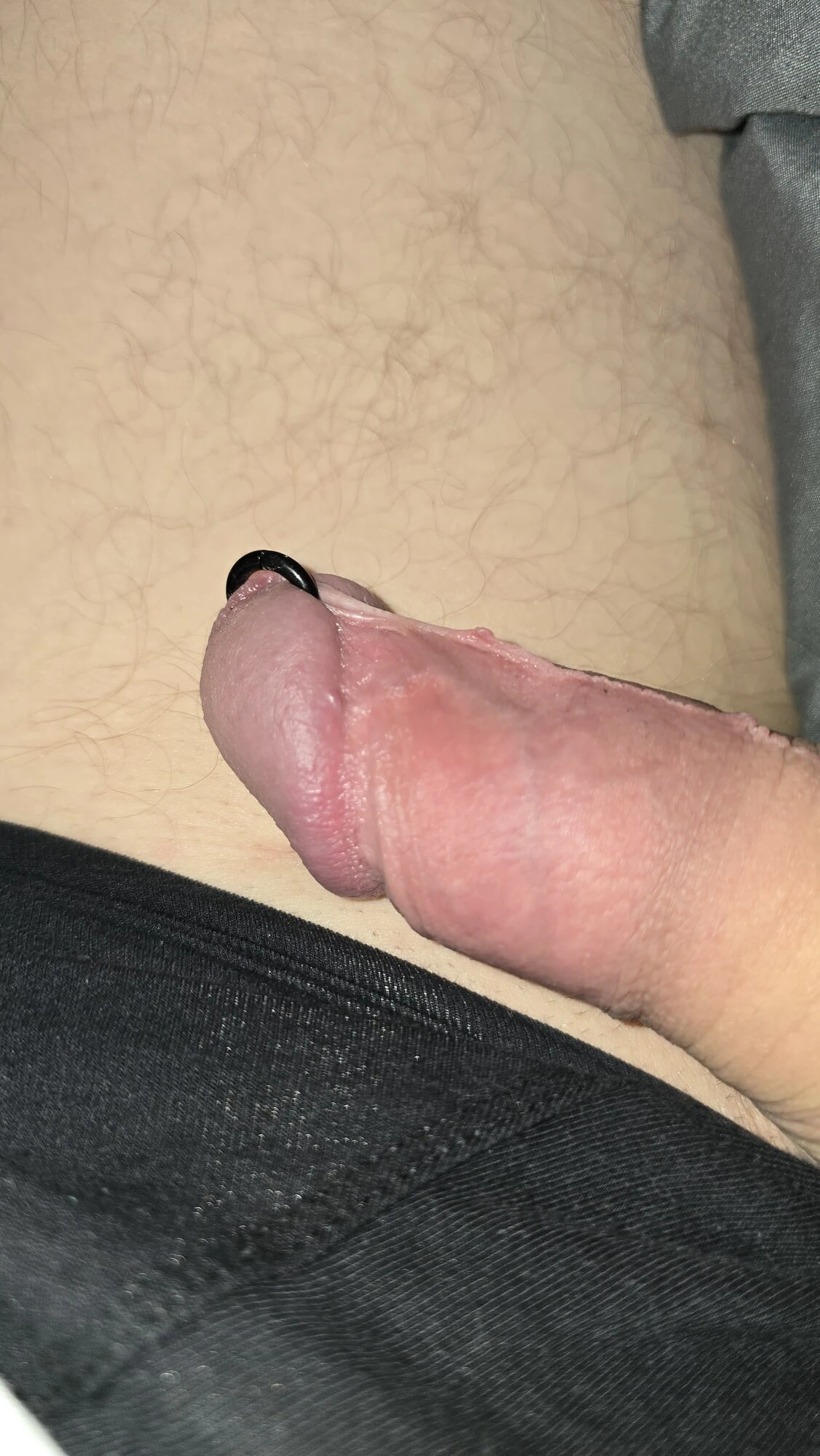 Piercing yakın çekim. Prince-Albert 