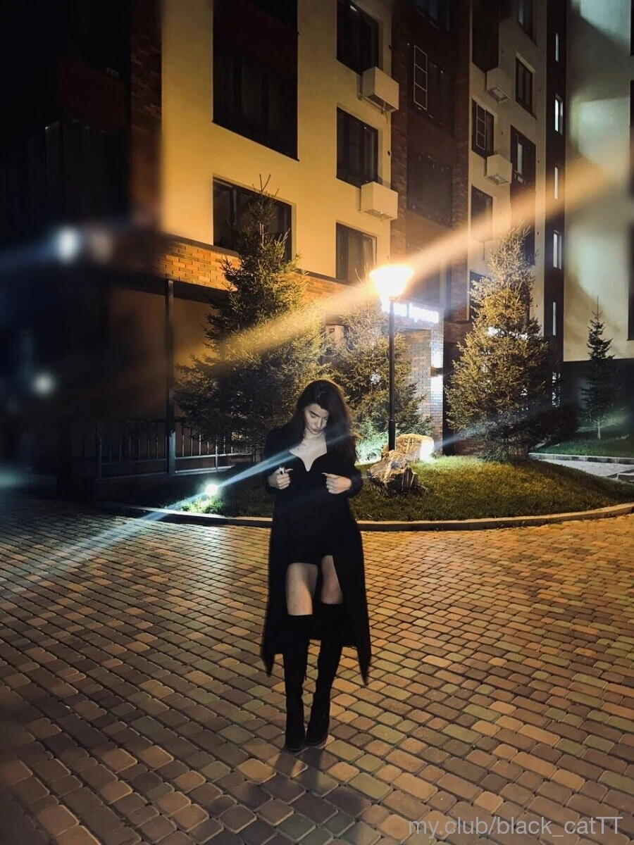 Ücretsiz Black Cat Fotoğrafları