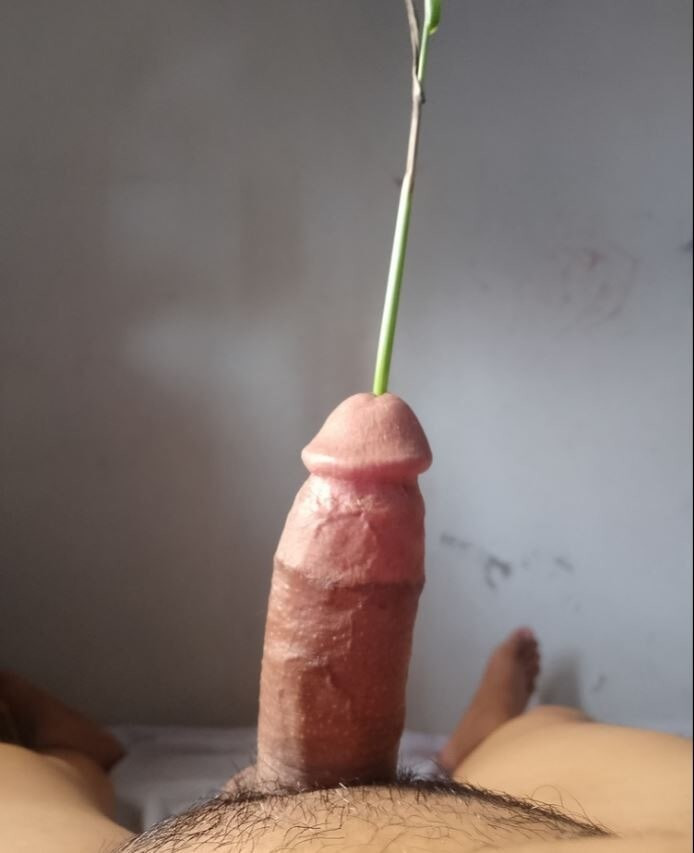 Sondaj