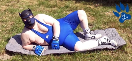Pup relaxing in wrestling singlet