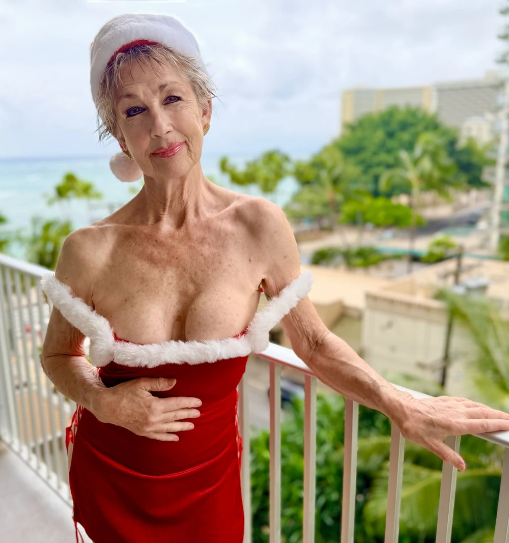 Christmas Gallery 2 #2