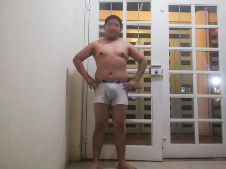 En Boxer (Gris5) in the Work