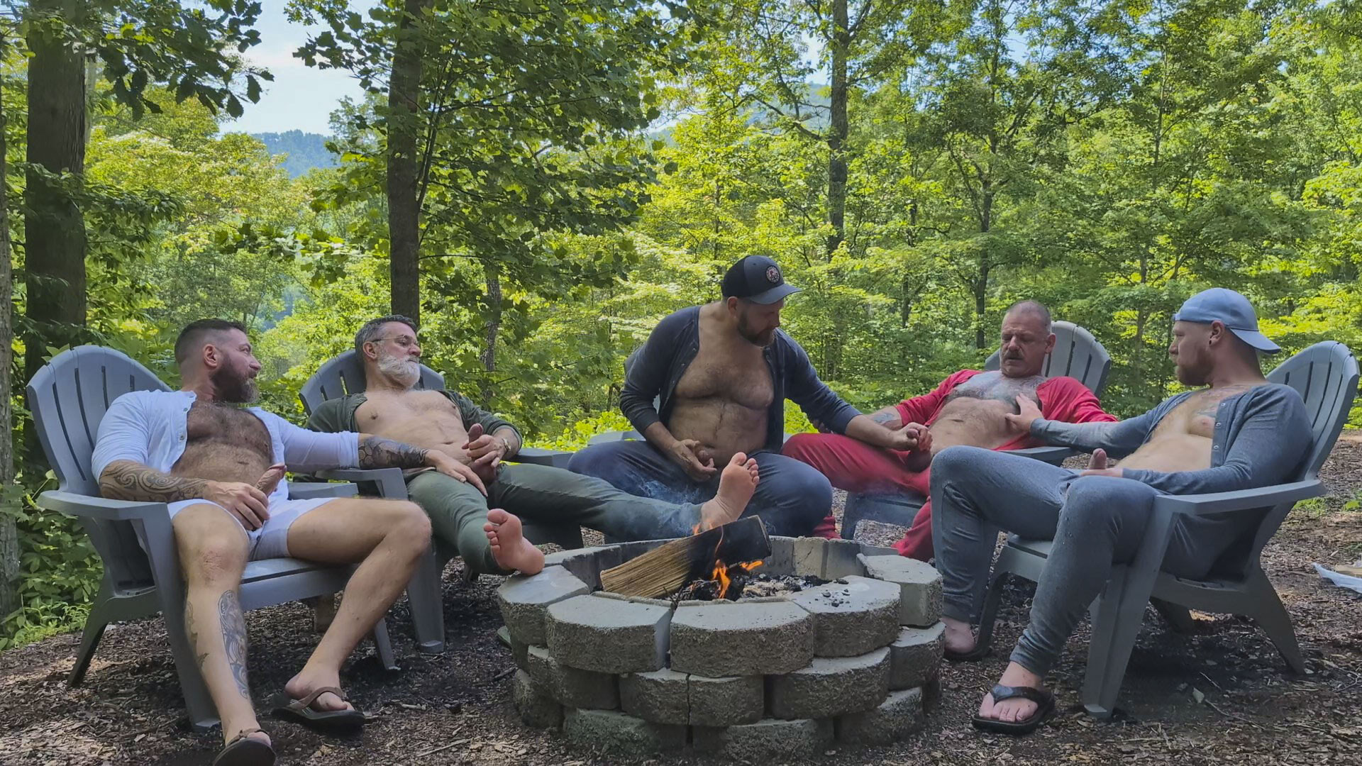 Bears in the woods 