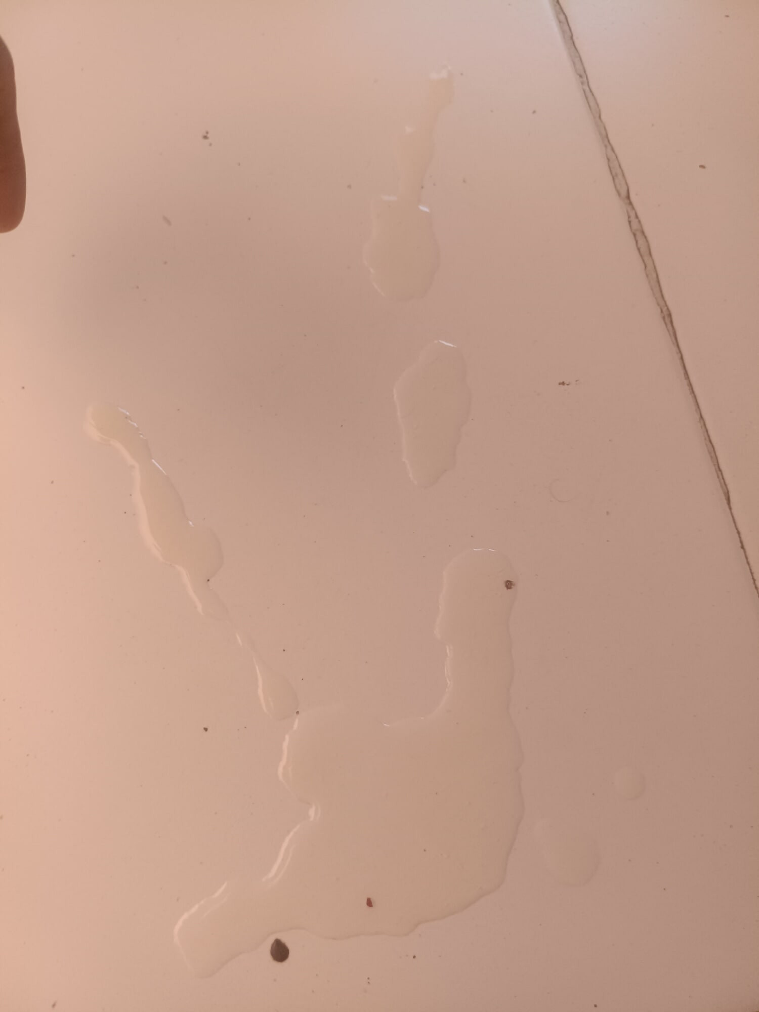 Darty boy hand job