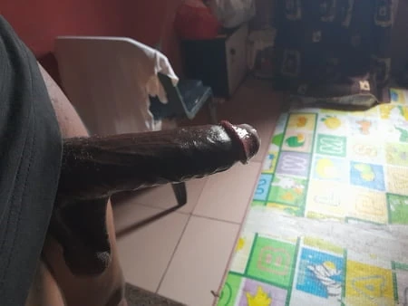 Büyük siyah yağlı yarak