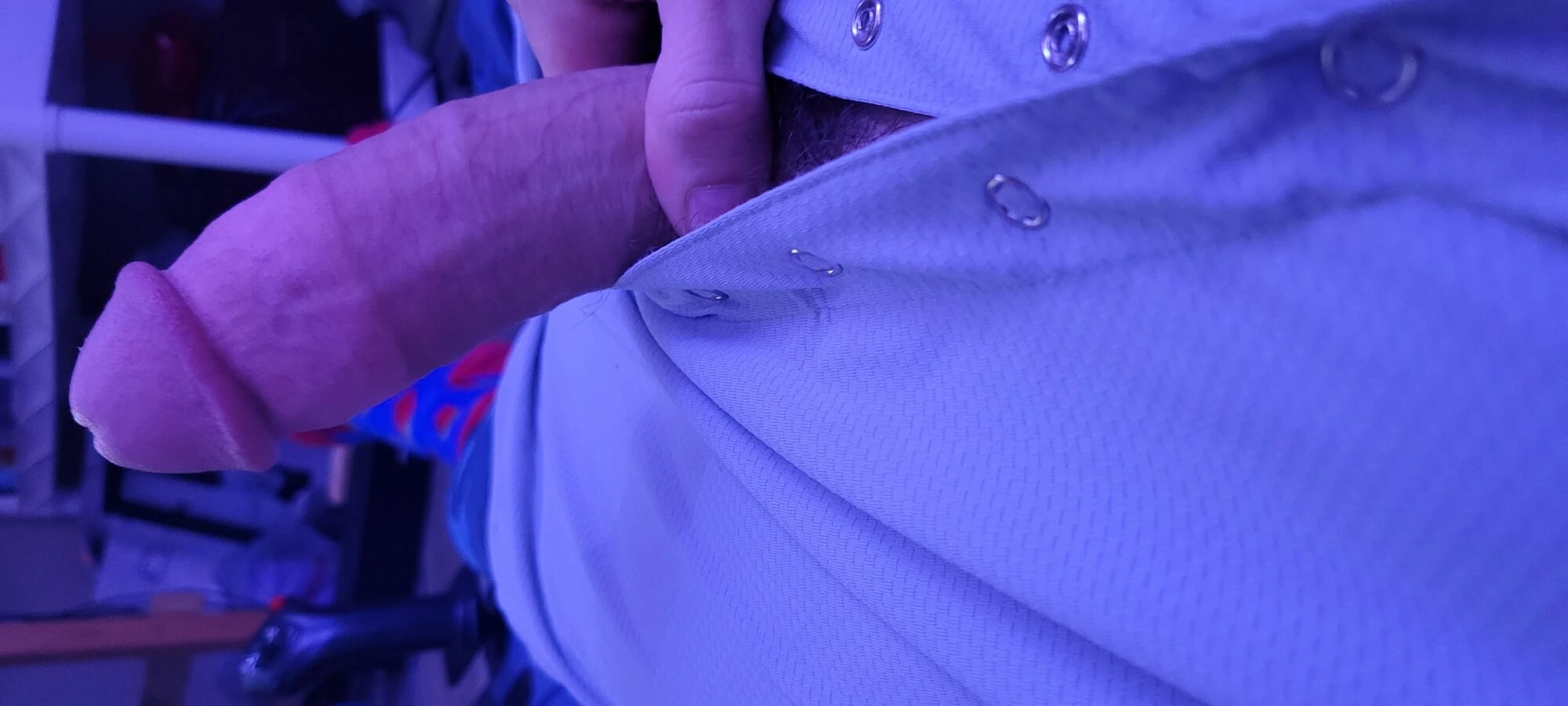 Penis