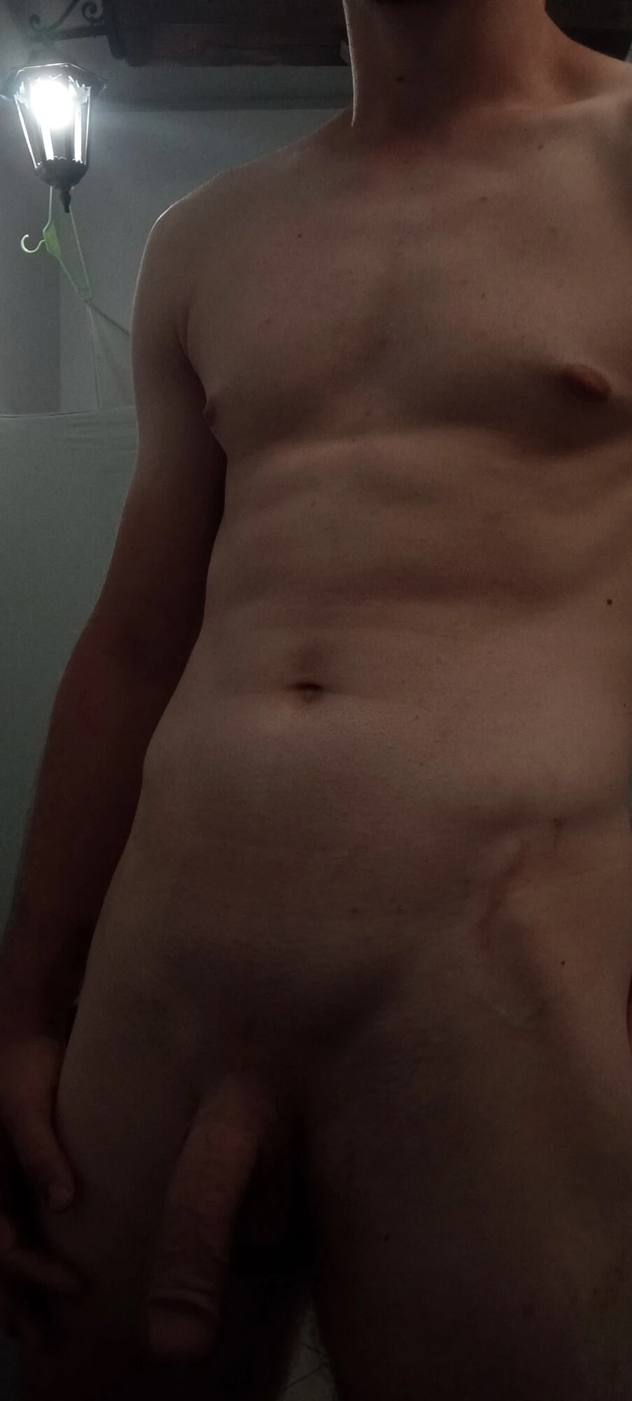 Penis